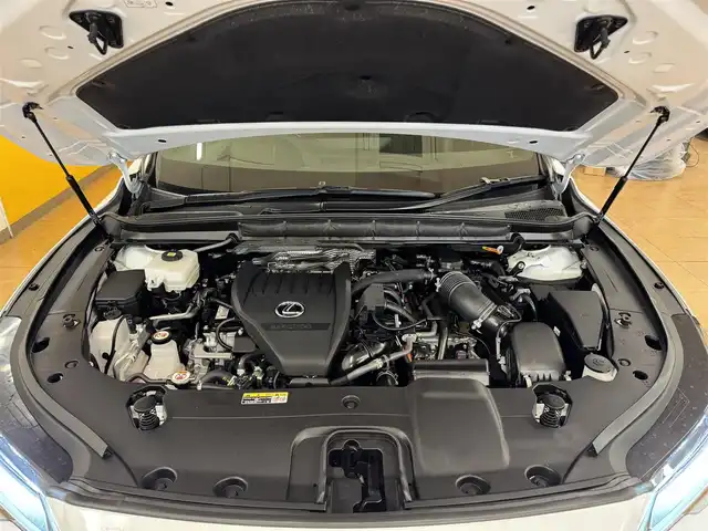 レクサス ＲＸ 500h Fスポーツパフォーマンス 群馬県 2023(令5)年 3万km ホワイトノーヴァガラスフレーク レクサスセーフティシステム+/・プリクラッシュセーフティ/・レーダークルーズコントロール/・ブラインドスポットモニター/・ヘッドアップディスプレイ/・レーンチェンジアシスト/・パーキングサポートブレーキ/・クリアランスソナー/・オートハイビーム/純正ナビ/　　フルセグ/BT/AM/FM/    USb/Miracast/    AppleCarPlay/AndroidAuto/パノラミックビューモニター/サンルーフ/アドバンストパーク/ハンズフリーパワーバックドア/デジタルインナーミラー/黒革シート/全席パワーシート/全席シートヒーター/エアーシート/ステアリングヒーター/オートLEDヘッドライト/フォグランプ/置くだけ充電/純正フロアマット/純正21AW/スマートキー2本/前後ドライブレコーダー/ビルドインETC2.0