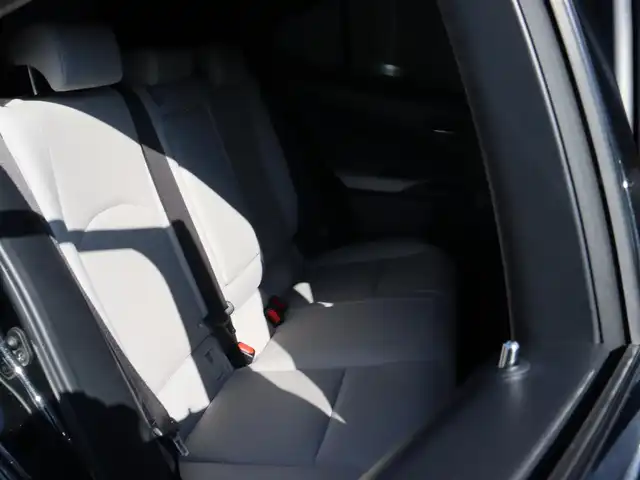 レクサス ＵＸ 250h バージョンL 長野県 2019(平31)年 5万km グラファイトブラックガラスフレーク ４WD/ヘッドアップディスプレイ/ステアリングヒーター/白革シート/ベンチレーション/シートヒーター/パワーシート/レーダークルーズコントロール/プリクラッシュセーフティ/レーンキープアシスト/ブラインドスポットモニター/純正ナビゲーション/フルセグTV/全方位カメラ/純正ドライブレコーダー/パワーバックドア/LEDヘッドライト/ETC/保証書・取説・スペアキーx2