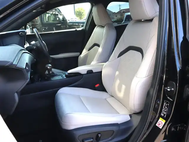 レクサス ＵＸ 250h バージョンL 長野県 2019(平31)年 5万km グラファイトブラックガラスフレーク ４WD/ヘッドアップディスプレイ/ステアリングヒーター/白革シート/ベンチレーション/シートヒーター/パワーシート/レーダークルーズコントロール/プリクラッシュセーフティ/レーンキープアシスト/ブラインドスポットモニター/純正ナビゲーション/フルセグTV/全方位カメラ/純正ドライブレコーダー/パワーバックドア/LEDヘッドライト/ETC/保証書・取説・スペアキーx2