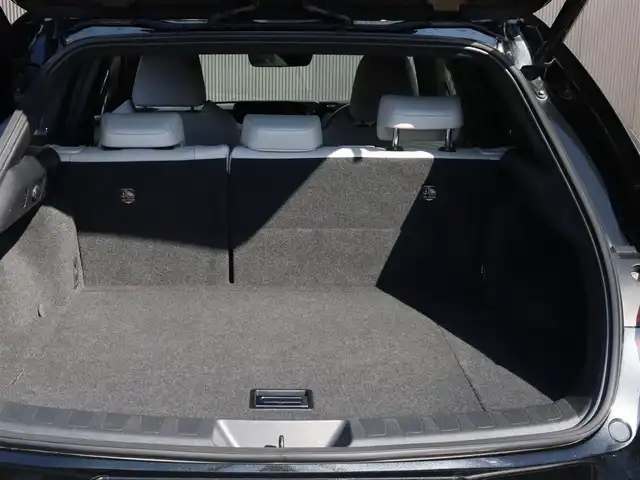 レクサス ＵＸ 250h バージョンL 長野県 2019(平31)年 5万km グラファイトブラックガラスフレーク ４WD/ヘッドアップディスプレイ/ステアリングヒーター/白革シート/ベンチレーション/シートヒーター/パワーシート/レーダークルーズコントロール/プリクラッシュセーフティ/レーンキープアシスト/ブラインドスポットモニター/純正ナビゲーション/フルセグTV/全方位カメラ/純正ドライブレコーダー/パワーバックドア/LEDヘッドライト/ETC/保証書・取説・スペアキーx2