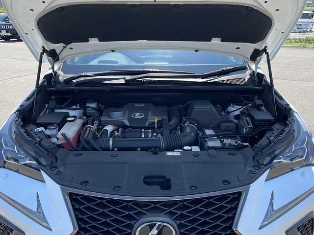 レクサス ＮＸ 300 Fスポーツ 富山県 2019(令1)年 7.5万km ホワイトノーヴァガラスフレーク 4WD/サンルーフ/三眼LEDヘッドライト/衝突被害軽減ブレーキ/レーダークルーズコントロール/レーンキープアシスト/クリアランスソナー/パノラミックビューモニター/ブラインドスポットモニター/パワーバックドア/シートベンチレーション/ステアリングヒーター/センターデフロック/純正ナビ/フルセグ/Miracast/Bluetooth/ETC2.0/ドライブレコーダー/純正エンジンスターター/スペアキー