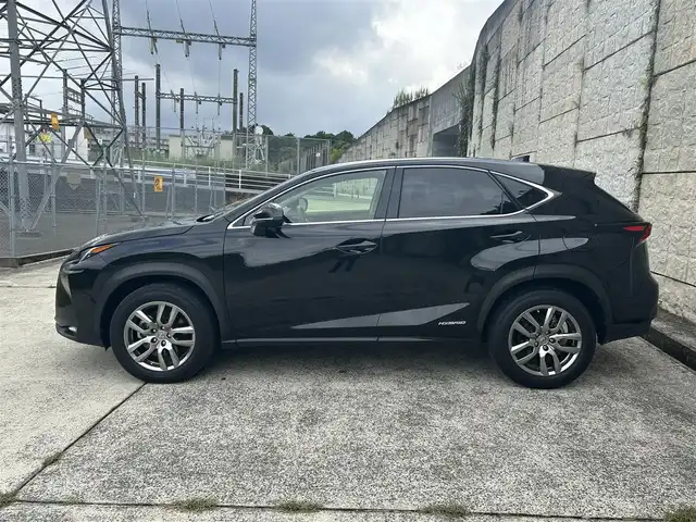 レクサス ＮＸ 300h 長崎県 2015(平27)年 4.4万km スターライトブラックガラスフレーク 純正ナビ/（CD/DVD/BT/フルセグ）/バックカメラ/衝突軽減システム/レーンアシスト/ブラインドスポットモニター/コーナーセンサー/レーダークルーズ/ETC/前席パワーシート/パワーバックドア/パドルシフト/前後ドライブレコーダー/社外レーダー（ZERO330V）/純正18インチAW