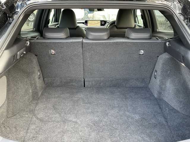 レクサス ＵＸ 300e バージョンC 石川県 2021(令3)年 4.2万km グラファイトブラックガラスフレーク 純正ナビ　フルセグＴＶ　バックカメラ　ＬＥＤヘッドライト　マークレビンソン　革シート　シートヒーター＆クーラー　レクサスセーフティ　レーダークルーズ　純正アルミ　ＥＴＣ２．０　ドラレコ　保証書