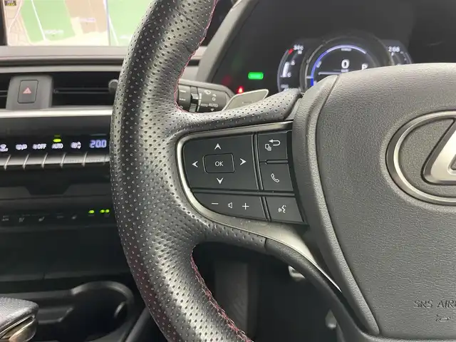 レクサス ＵＸ 250h Fスポーツ 岡山県 2019(令1)年 4.9万km グラファイトブラックガラスフレーク ムーンルーフ/三眼LEDヘッドライト/ブラインドスポットモニター/純正10.3インチメモリナビ/（CD/DVD/BT/USB/AUX/フルセグTV）/パワーバックドア/社外ドライブレコーダー/衝突軽減ブレーキ/アダプティブヘッドライト/前後コーナーセンサー/レーンキープアシスト/オートハイビーム/ヘッドアップディスプレイ/赤色レザーシート/D/N席パワーシート/D/N席エアシート/D/N席シートヒーター/Fスポ専用18インチアルミホール/純正フロアマット
