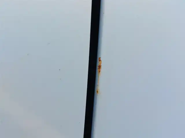 ダイハツ ミラ ココア プラスX 東京都 2012(平24)年 5.6万km ミストブルーマイカメタリック /純正SDナビ//ワンセグTV//ヘッドライトレベライザー//前後ドライブレコーダー//ルーフレール//フロアマット//ドアバイザー