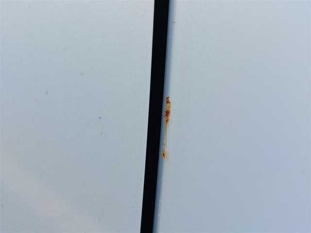 ダイハツ ミラ ココア プラスX 東京都 2012(平24)年 5.6万km ミストブルーマイカメタリック /純正SDナビ//ワンセグTV//ヘッドライトレベライザー//前後ドライブレコーダー//ルーフレール//フロアマット//ドアバイザー