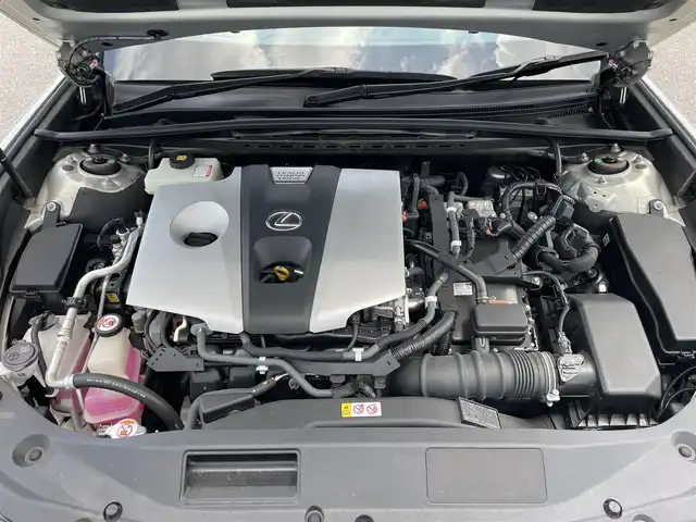 レクサス ＥＳ 300h バージョンL 滋賀県 2019(平31)年 2.9万km アイスエクリュマイカメタリック 純正ナビ/(Bluetooth/フルセグ/CD/DVD)/マークレビンソン/三眼LEDオートライト/サンルーフ/レクサスセーフティーセンス/・プリクラッシュセーフティ/・レーダークルーズコントロール/・レーンキープアシスト/・オートハイビーム/ブラインドスポットモニター/標識認識/先行車発進告知/ヘッドアップディスプレイ/メモリ付きパワーシート/レザーシート/シートヒーター/シートクーラー/ステアリングヒーター/電動パーキング/ブレーキホールド/デジタルインナーミラー/ドライブレコーダー/リアサンシェード/ビルトインETC2.0/電動格納ミラー