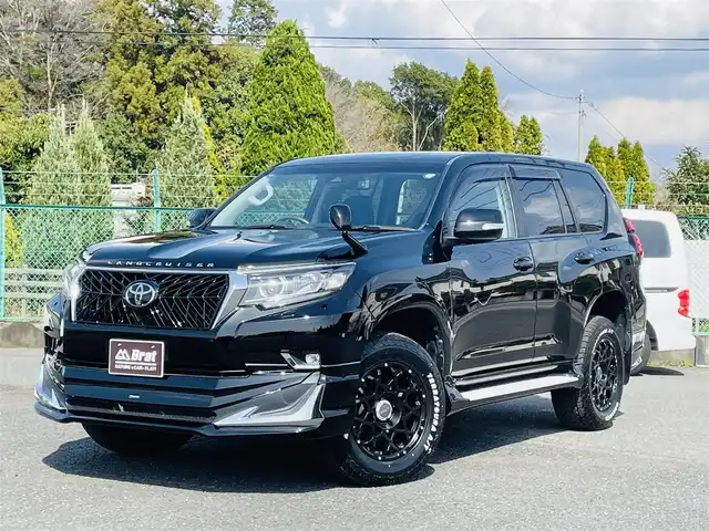 トヨタ ランドクルーザー プラド TX 愛知県 2019(平31)年 6.6万km ブラック AIS検査済み/ワンオーナ/モデリスタアンダーエアロ（前後）/寒冷地仕様/エンジンスターター/BRUT BR-55 新品アルミ/ダヴァンティ テラトゥーラ（ホワイトレター）265/65-18/サイドステップ/ボンネットエンブレム/LXグリル（社外）ー/純正オーディオ/USB:AUX:CD/ウッドコンビハンドル/バックフォグ/オートマチックハイビーム/保証書/取扱説明書/【2406047679】