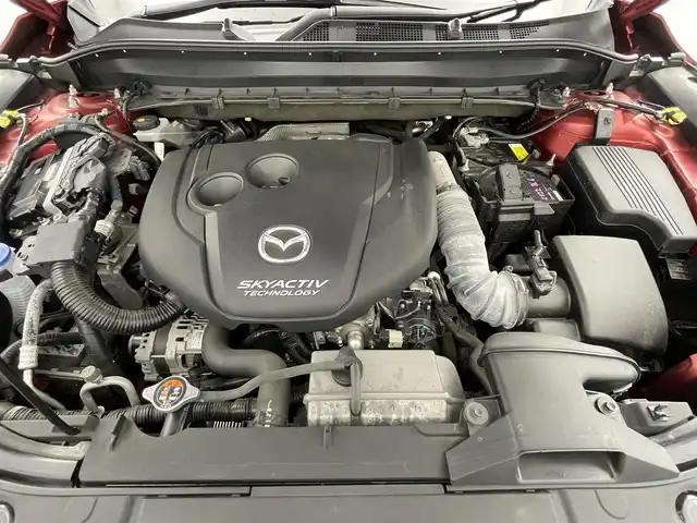 マツダ ＣＸ－８ XD プロアクティブ 岡山県 2019(平31)年 2.9万km ソウルレッドクリスタルM 純正ナビ/地デジ/Bluetooth/CD/DVD/360度ビューモニター/ALPINEフリップダウンモニター/ドライブレコーダー/ETC/パワーバックドア /ルーフレール /衝突被害軽減ブレーキ/レーダークルーズコントロール/ブラインドスポットモニター/ヘッドアップディスプレイ/純正フロアマット/純正19インチアルミホイール/パワーシート/ステアリングヒーター/LEDライト/オートライト /新車保証書/取扱説明書/スペアキー×1