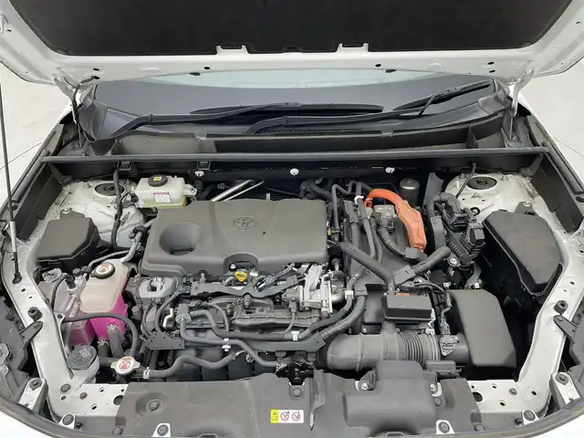 トヨタ ＲＡＶ４ ハイブリッドG 茨城県 2020(令2)年 0.1万km ホワイトパールクリスタルシャイン ディスプレイオーディオ/ドラレコ/追従クルーズコントロール/ETC/BSM/100V電源（1500W）/デジタルインナーミラー/ハンドルヒーター/メモリシート/LEDヘッドライト/純正18インチアルミホイール/コーナーセンサー/衝突軽減ブレーキ/横滑り防止装置