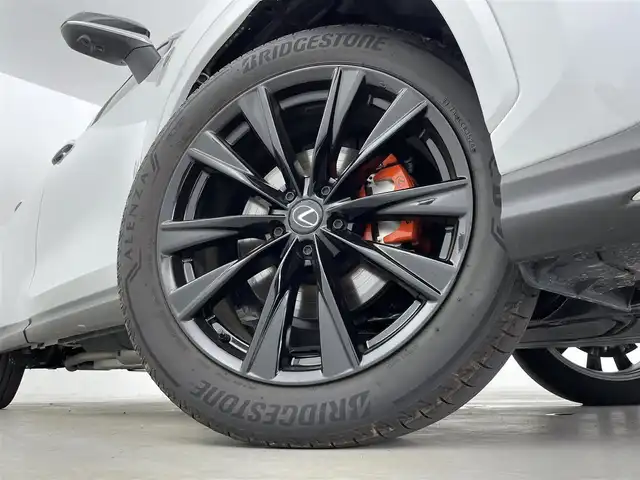 レクサス ＮＸ 350h Fスポーツ 群馬県 2024(令6)年 0.3万km ホワイトノーヴァガラスフレーク ムーンルーフ/ドライブレコーダー(前後方)/F SPORTオレンジブレーキキャリパー/235/50R20 104Vタイヤ＆F SPORTアルミホイール(ブラック塗装)/=====/純正14インチディスプレイオーディオ/・AM/FM/USB/Bluetooth/フルセグTV/・AppleCarPlay/AndroidAuto/Miracast/パノラミックビューモニター(床下透過表示機能付)/レクサスセーフティシステム/・プリクラッシュセーフティ/・レーンディパーチャーアラート/レーントレーシングアシスト/・レーンチェンジアシスト/フロントクロストラフィックアラート/・アダプティブハイビームシステム/・レーダークルーズコントロール(全車速追従機能付)/・ロードサインアシスト/発進遅れ告知機能/ドライバー異常時対応システム/・プロアクティブドライビングアシスト/ブラインドスポットモニター/パーキングサポートブレーキ(前後方静止物＋後方接近車両＋後方歩行者)/前席パワーシート/シートヒーター/シートベンチレーション/ステアリングヒーター/三眼フルLEDヘッドランプ（ロー・ハイビーム）/LEDコーナリングランプ/純正ビルトインETC2.0