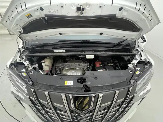 トヨタ アルファード S タイプゴールド 茨城県 2020(令2)年 5.6万km ホワイトパールクリスタルシャイン 純正ディスプレイオーディオ/・AM/FM/CD/DVD/Bluetooth/・フルセグテレビ/フリップダウンモニター/バックカメラ/ビルトインETC2.0/ドライブレコーダー/レーダークルーズコントロール/衝突軽減ブレーキ/レーンキープアシスト/横滑り防止装置/盗難防止装置/電動パーキングブレーキ/両側パワースライド/前後コーナーセンサー/LEDヘッドライト/オートマチックハイビーム/オートライト/ダブルオートエアコン/プッシュスタートボタン/ステアリングリモコン/革巻きステアリング/純正18インチアルミホイール/12V充電器/USBジャック/純正フロアマット/ドアバイザー/保証書