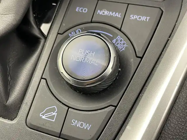 トヨタ ＲＡＶ４ アドベンチャー オフロードPKGⅡ 群馬県 2022(令4)年 3.8万km アティチュードブラックマイカ 純正ディスプレイオーディオ９インチ　Ｂカメラ　パワーシート　ハンドルヒーター　レーダークルコン　フォグライト　ＬＥＤライト　ステアリングスイッチ　オートハイビーム　　ＥＴＣ　ＢＳＭ　純正ドラレコ