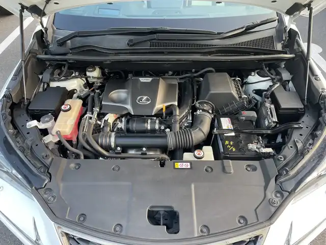 レクサス ＮＸ 300 Fスポーツ 神奈川県 2018(平30)年 8.7万km ホワイトノーヴァガラスフレーク 純正ナビＴＶ　/全方位カメラ　/サンルーフ　/電動リアゲート　/前席パワーシート/シートヒーター/エアシート　/クルーズコントロール　/コーナーセンサー　/ETC2.0　/シートメモリ　/オートブレーキホールド/パドルシフト/ステアリングヒーター/ブラインドスポットモニター/ヘッドアップディスプレイ/LED/取扱説明書/保証書/記録簿/衝突被害軽減システム/カーテンエアバッグ