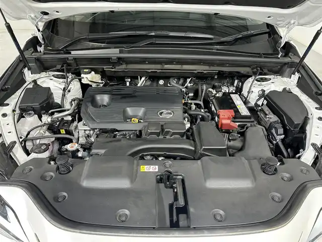 レクサス ＮＸ 250 バージョンL 佐賀県 2023(令5)年 0.6万km ソニッククォーツ ワンオーナー/純正14インチディスプレイオーディオ/フルセグTV/Bluetooth/Androidauto/Applecarplay/サンルーフ/デジタルインナールームミラー/全方位カメラ/衝突被害軽減システム/レーダークルーズコントロール/レーンアシスト/ブラインドスポットモニター/パーキングサポートブレーキ/電子パーキング/ブレーキホールド/クリアランスソナー/オートライト/オートマチックハイビーム/3眼LEDヘッドライト/LEDフォグライト/ビルトインETC2.0/純正前後ドライブレコーダー/ヘッドアップディスプレイ/パワーバックドア/後席電動格納シート/運転席・助手席パワーシート/運転席・助手席シートヒーター/運転席・助手席エアシート/レザーシート/メモリーシート/純正20インチアルミホイール/純正フロアマット/カードキー×１