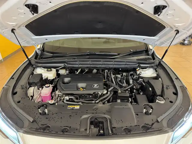 レクサス ＲＸ 350h バージョンL 群馬県 2023(令5)年 1.7万km ソニッククォーツ 安全装備/・衝突軽減ブレーキ/・レーンキープアシスト/・クリアランスソナー/・クルーズコントロール/・ブラインドスポット/・オートライト/・オートハイビーム/・SOSコール/・横滑り防止/・パノラミックビューモニター/メーカー純正ナビゲーション/・AM/FM/フルセグTV/・Bluetooth/USB/・マークレビンソン/パワーバックドア/ヘッドアップディスプレイ/サンルーフ/前席パワーシート/全席シートヒーター/全席エアシート/ハンドルヒーター/パドルシフト/ヒーターミラー/ミラー一体型前後ドライブレコーダー/シートメモリー/ETC2.0/LEDヘッドライト/LEDフォグランプ/スマートキー/プッシュスタート