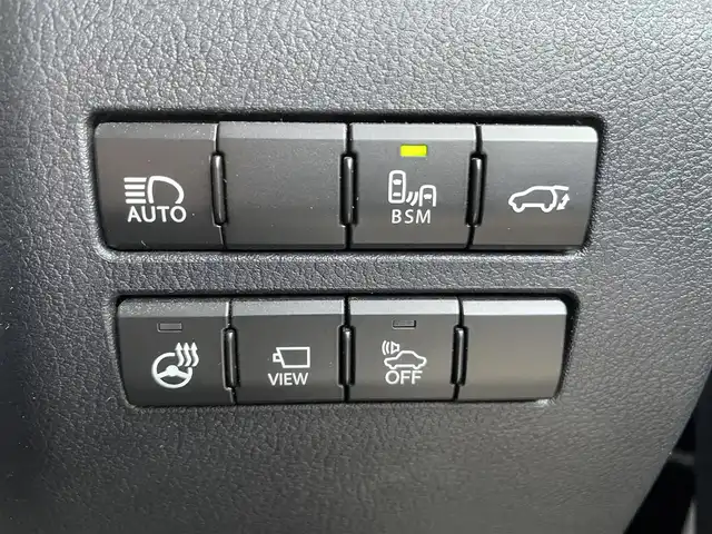 レクサス ＮＸ 300h バージョンL 東京都 2019(令1)年 5.9万km ブラック サンルーフ/純正ナビ/フルセグ/バックカメラ/ビルトインETC2.0/シートヒーター/ベンチレーションシート/パドルシフト/パワーテールゲート/3眼LEDヘッドライト/Lexus Safety System ＋/・プリクラッシュセーフティ/・レーントレーシングアシスト/・オートマチックハイビーム/・アダプティブハイビームシステム/・レーダークルーズコントロール/・ブラインドスポットモニター