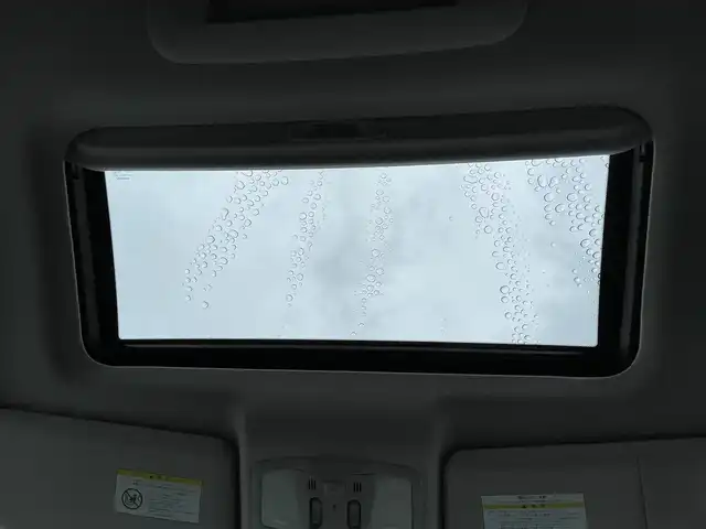 日産 エルグランド VIP 滋賀県 2011(平23)年 10.9万km ファントムブラック 禁煙車/サンルーフ/黒レザーシート/純正HDDナビ/CD/DVD/Bluetooth/フルセグTV/アラウンドビューカメラ/オートサイドステップ/社外20AW/パワーバックドア/パワーシート/シートメモリー/キセノンライト/100V電源/スマートキー/シートヒーター/両側パワースライドドア/後席モニター/ETC/オットマン/純正フロアマット