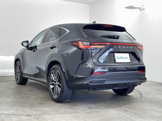 レクサス ＮＸ 250 バージョンL 兵庫県 2022(令4)年 5.4万km グラファイトブラックガラスフレーク ・純正14インチナビ（フルセグ・BT・USB・Miracast）/・全方位カメラ/・ビルトインETC2.0/・前後ドライブレコーダー/・デジタルインナーミラー/・レーンディパーチャーアラート/・クリアランスソナー/・パーキングサポートブレーキ/・ブラインドスポットモニター/・安心降車アシスト/・リヤトラフィックアラート/・リアカメラディテクション/・ロードサインアシスト/・プロアクティブドライビングアシスト/・ヘッドアップディスプレイ/・レーダークルーズコントロール/・オートマチックハイビーム/・レーンチェンジアシスト/・プリクラッシュセーフティ/・フロントクロストラフィックアラート/・発進遅れ告知/・LEDオートライト/・フォグランプ/・パドルシフト/・ステアリングリモコン/・電動リアゲート/・レザーシート/・パワーシート/・シートヒーター/・シートクーラー/・メモリシート/・置くだけ充電/・純正20インチアルミホイール/・純正フロアマット/・ブレーキホールド/・電動パーキングブレーキ/・ステアリングヒーター/・スマートキー/・プッシュスタート/・W＋サイド＋カーテンエアバック