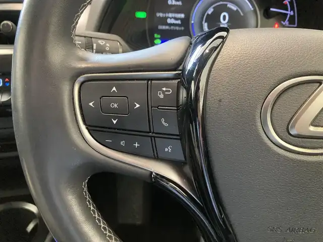 レクサス ＵＸ 250h バージョンC 熊本県 2019(平31)年 6.8万km ソニックチタニウム ・スマートキー/・プッシュスタート/・プリクラッシュセーフティ/・レーンデパーチャーアラート/・ブラインドスポットモニター/・パーキングサポートアラート/・道路標識アシスト/・先行車発進告知/・オートマチックハイビーム/・クルーズコントロール(追従式)/・レザーシート/・前席パワーシート/・前席シートヒーター/・ハンドルヒーター /・純正メモリナビ/　【BD・Bluetooth・USB・SD・AUX・MSV】/・フルセグTV/・バックカメラ/・ETC2.0/・ドライブレコーダー(前方録画)/・パワーバックドア/・LEDヘッドランプ/・LEDフォグランプ/・純正マット