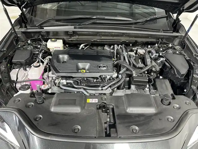レクサス ＮＸ 350h Fスポーツ 佐賀県 2024(令6)年 0.5万km グラファイトブラックガラスフレーク 純正14インチディスプレイーディオ/フルセグTV/Bluetooth/Applecarplay/Androidauto/ナビ機能付き/全方位バックカメラ/衝突被害軽減システム/レーダークルーズコントロール/レーンアシスト/ブラインドスポットモニター/クリアランスソナー/ロードサインアシスト/オートライト/オートマチックハイビーム/3眼LEDヘッドライト/LEDフォグライト/ビルトインETC2.0 /パーキングアシスト/電子パーキング/ブレーキホールド/パワーバックドア/前方ドライブレコーダー/ステアリングヒーター/純正20インチアルミホイール/運転席・助手席パワーシート/運転席・助手席シートヒーター/運転席・助手席エアシート/メモリーシート/パドルシフト/ISOFIX対応シート/純正フロアマット