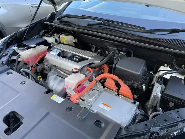 レクサス ＮＸ 300h Fスポーツ 兵庫県 2015(平27)年 3.9万km ホワイトノーヴァガラスフレーク /OP レーダークルーズコントロール//OP パノラミックビューモニター//OP BSM//OP クリアランスソナー//OP プリクラッシュセーフティ//OP レーンディパーチャーアラート（LDA）//OP スペアタイヤ//OP 3眼フルLEDヘッドランプ//OP オートマチックハイビーム//OP パワーバックドア//OP AC100V電源/・メーカーSDナビ/・地デジ/DVD/BT/USB/AUX/・ステアリングリモコン/・ステアリングヒーター/・Fスポーツ専用シート（電動/ヒーター/ベンチレーション）//運転席メモリー付/・パドルシフト/・ビルトインETC/・純正18インチAW/・カードキー