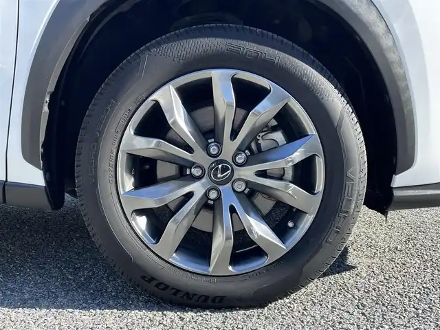 レクサス ＮＸ 300h Fスポーツ 兵庫県 2015(平27)年 3.9万km ホワイトノーヴァガラスフレーク /OP レーダークルーズコントロール//OP パノラミックビューモニター//OP BSM//OP クリアランスソナー//OP プリクラッシュセーフティ//OP レーンディパーチャーアラート（LDA）//OP スペアタイヤ//OP 3眼フルLEDヘッドランプ//OP オートマチックハイビーム//OP パワーバックドア//OP AC100V電源/・メーカーSDナビ/・地デジ/DVD/BT/USB/AUX/・ステアリングリモコン/・ステアリングヒーター/・Fスポーツ専用シート（電動/ヒーター/ベンチレーション）//運転席メモリー付/・パドルシフト/・ビルトインETC/・純正18インチAW/・カードキー