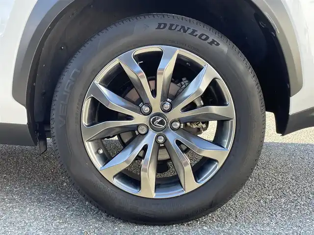 レクサス ＮＸ 300h Fスポーツ 兵庫県 2015(平27)年 3.9万km ホワイトノーヴァガラスフレーク /OP レーダークルーズコントロール//OP パノラミックビューモニター//OP BSM//OP クリアランスソナー//OP プリクラッシュセーフティ//OP レーンディパーチャーアラート（LDA）//OP スペアタイヤ//OP 3眼フルLEDヘッドランプ//OP オートマチックハイビーム//OP パワーバックドア//OP AC100V電源/・メーカーSDナビ/・地デジ/DVD/BT/USB/AUX/・ステアリングリモコン/・ステアリングヒーター/・Fスポーツ専用シート（電動/ヒーター/ベンチレーション）//運転席メモリー付/・パドルシフト/・ビルトインETC/・純正18インチAW/・カードキー