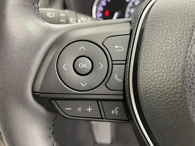 トヨタ ＲＡＶ４ G Zパッケージ 富山県 2021(令3)年 1.6万km センシュアルレッドマイカ 4WD/純正ナビ（AM/FM/USB/BT/Miracast）/フルセグTV/アラウンドビューモニター/フロント/サイド/リアモデリスタエアロ/デジタルインナーミラー/レーダークルーズコントロール/プリクラッシュセーフティ/レーンディパーチャーアラート/ブラインドスポットモニター/アダプティブハイビーム/LEDヘッドライト/クリアランスソナー/電動リアゲート/ETC/ドライブレコーダー前後/レザーシート/前席シートヒーター/ステアリングヒーター/社外フロアマット/純正19インチAW