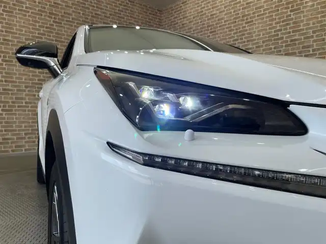レクサス ＮＸ 300 Fスポーツ 岩手県 2018(平30)年 5.4万km ホワイトノーヴァガラスフレーク ４WD/ターボ/TRDフロントスポイラー/メーカーオプション三眼フルLEDヘッドランプ/メーカーオプション電動格納・リクライニングリヤシート/パノラミックビューモニター/ハンズフリーパワーバックドア/Fスポーツ専用フロアレッドカラーインテリア/Fスポーツ専用本革スポーツシート/パドルシフト/パフォーマンスダンパー/NAVI・AI-AVS/レクサスセーフティシステム＋/プリクラッシュセーフティ/レーダークルーズコントロール/レーンディパーチャーアラート/アダプティブハイビームシステム/クリアランスソナー/パーキングサポートブレーキ/パワーシート・シートヒーター・シートベンチレーション（前席）/ステアリングヒーター/10.3インチワイドディスプレイナビ/フルセグTV/純正18インチアルミホイール