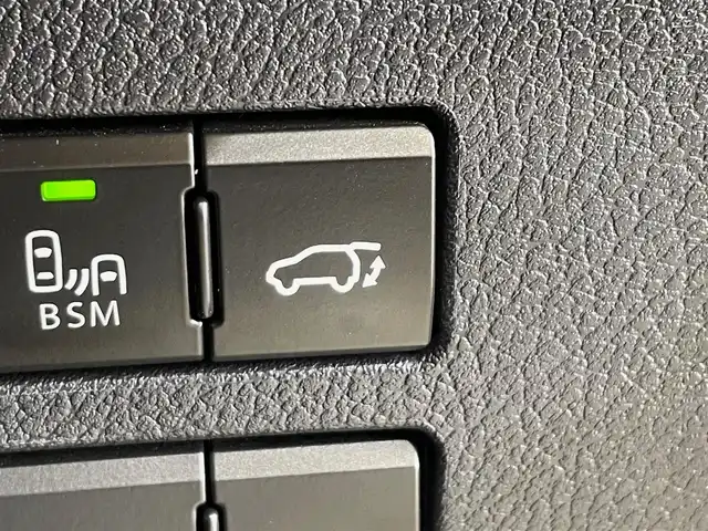 レクサス ＮＸ 300 Fスポーツ 岩手県 2018(平30)年 5.4万km ホワイトノーヴァガラスフレーク ４WD/ターボ/TRDフロントスポイラー/メーカーオプション三眼フルLEDヘッドランプ/メーカーオプション電動格納・リクライニングリヤシート/パノラミックビューモニター/ハンズフリーパワーバックドア/Fスポーツ専用フロアレッドカラーインテリア/Fスポーツ専用本革スポーツシート/パドルシフト/パフォーマンスダンパー/NAVI・AI-AVS/レクサスセーフティシステム＋/プリクラッシュセーフティ/レーダークルーズコントロール/レーンディパーチャーアラート/アダプティブハイビームシステム/クリアランスソナー/パーキングサポートブレーキ/パワーシート・シートヒーター・シートベンチレーション（前席）/ステアリングヒーター/10.3インチワイドディスプレイナビ/フルセグTV/純正18インチアルミホイール