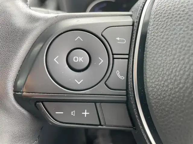 トヨタ ＲＡＶ４ ハイブリッドG 岩手県 2020(令2)年 5.1万km ホワイトパールクリスタルシャイン 純正９型ナビ　Ｆカメラ　Ｂカメラ　Ｂｌｕｅｔｏｏｔｈ　ＣＤ　ＤＶＤ　フルセグ　BSM　シートヒーター　ステアヒーター　ＬＥＤオートライト　純正１８ＡＷ　ルーフレール　ＰＷバックドア　ＡＣ１００Ｖ