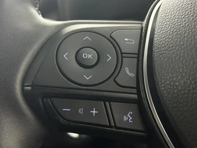 トヨタ ＲＡＶ４ ハイブリッドG 埼玉県 2022(令4)年 4万km ホワイトパールクリスタルシャイン パノラマムーンルーフ　レザーシート　シートベンチレーション　パワーシート　シートポジションメモリー　純正ディスプレイオーディオ　全周囲モニター　Ｍｉｒａｃａｓｔ　Ｂｌｕｅｔｏｏｔｈ　レーダークルーズ液晶