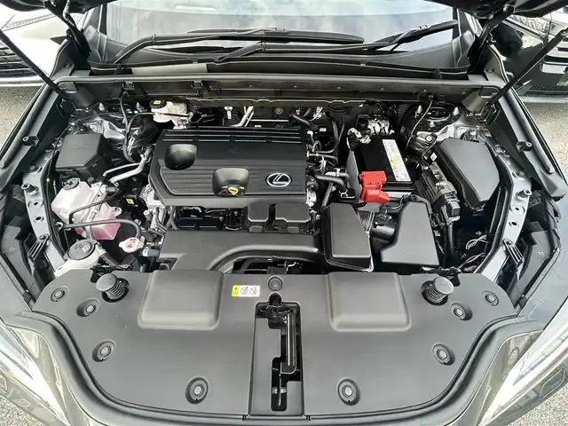 レクサス ＮＸ 250 バージョンL 兵庫県 2023(令5)年 1.3万km ソニッククロム 純正ナビ　/フルセグ　/DVD　/Bluetooth　/USB　/全周囲モニター/ETC2.0　/前後ドライブレコーダー　/追従型クルーズコントロール　/レザーシート　/前席パワーシート　/前席シートヒーター/前席エアーシート/電動リヤゲート/純正ラバーフロアマット/純正アルミホイール/衝突被害軽減ブレーキ　/横滑り防止装置/車線逸脱警報/W+サイド+カーテンエアバッグ/オートLEDライト/スペアキー1本/保証書/取扱説明書