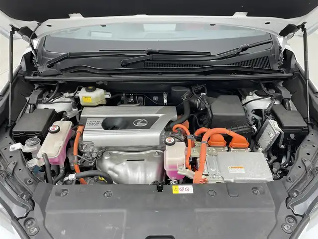 レクサス ＮＸ 300h Fスポーツ 茨城県 2018(平30)年 4.2万km ホワイトノーヴァガラスフレーク 純正10.3型ナビ/Bluetooth/フルセグ/CD/DVD/AM/FM/パノラミックビューモニター/サンルーフ/衝突軽減ブレーキ/レーダークルーズコントロール/ブラインドスポットモニター/ETC2.0/前後コーナーセンサー/パワーシート(D/N席)/シートヒーター/エアシート/パワーバックドア/LEDヘッドライト/LEDフォグライト