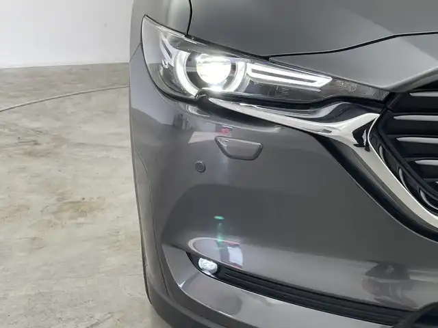 マツダ ＣＸ－８ XD Lパッケージ 群馬県 2018(平30)年 7.4万km マシーングレープレミアムM 純正ナビ　全周囲カメラ　衝突被害軽減ブレーキ　アダプティブクルーズコントロール　電動リアゲート　純正ビルトインＥＴＣ　アイドリングストップ　パワーシート　シートヒーター　純正ドライブレコーダー　禁煙車