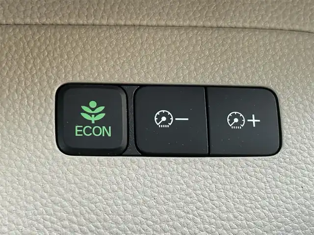 ホンダ Ｎ ＢＯＸ G L ホンダセンシング 富山県 2019(平31)年 5.3万km ルナシルバーM ギャザーズナビ/両側パワースライドドア/ホンダセンシング/レーダークルーズコントロール/オートライト/ＬＥＤヘッドライト/バックカメラ/ＵＳＢポート/スマートキーｘ２/プッシュスタート