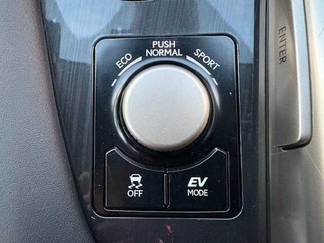 レクサス ＲＸ 450h ブラックシークエンス 大阪府 2019(平31)年 3.9万km グラファイトブラックガラスフレーク 純正１２．３型ナビ　/バック／サイドカメラ　/フルセグ/ＢＳＭ　/レクサスセーフティシステム＋　/黒革シート　/三眼ＬＥＤヘッドライト　/ルーフレール　/電動リアゲート　/パワーシート　/シートヒーター/シートエアコン/ＥＴＣ２．０　/純正20インチアルミホイール/スマートキー　/カードキー