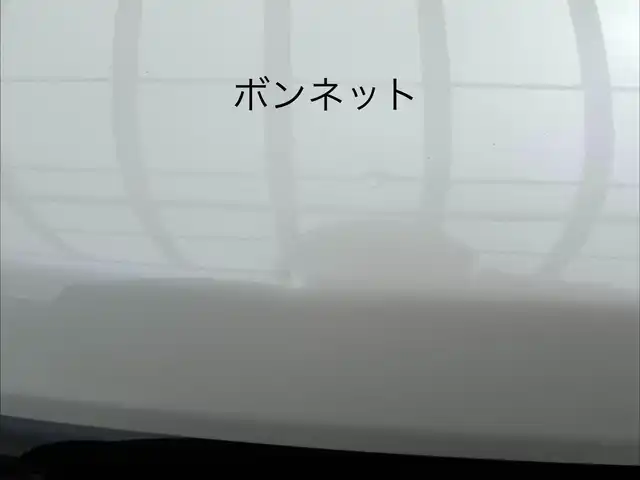 ホンダ Ｎ ＢＯＸ カスタム ターボ SSブラックSパッケージ 三重県 2016(平28)年 4.1万km プレミアムホワイトパールⅡ 純正11インチ後席フリップダウンモニター/純正8インチナビAM/FM/TV/DVD/SD/Bluetooth/リアモニターHDMI/バックカメラ/ETC/シートヒーター(前席)/ドライブレコーダー/シティブレーキアクティブシステム/ターボ/アイドリングストップ/クルーズコントロール/HIDヘッドランプ/プッシュエンジンスイッチ/スマートキーシステム/スペアキー/パドルシフト/ステアリングスイッチ/クロームメッキ加飾付LED式フロントフォグランプ/電動格納ドアミラー/ヒーテッドドアミラー/ウインカーミラー/リアスポイラー/クロームメッキリアナンバープレートガーニッシュ/ロールサンシェード/ブルーイルミネーション/オートエアコン/左右独立式アームレスト（後席中央）/グラブレール（運転席　助手席　リア左右）/後席スライド/4段リクライニングシート/シートバックテーブル（運転席/助手席)