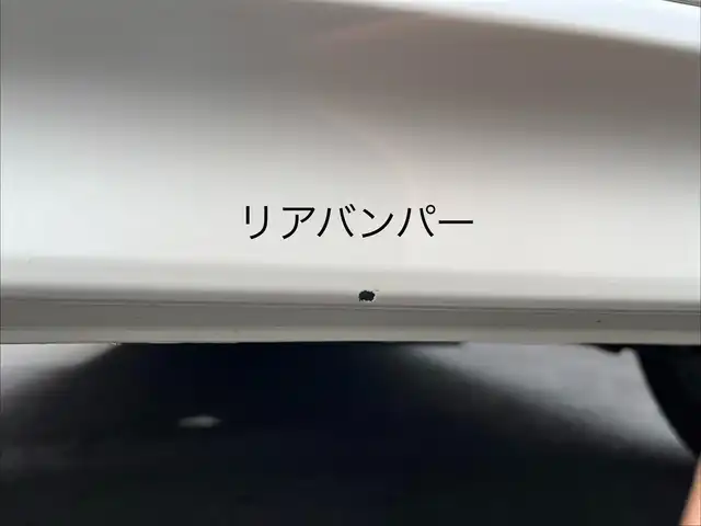 ホンダ Ｎ ＢＯＸ カスタム ターボ SSブラックSパッケージ 三重県 2016(平28)年 4.1万km プレミアムホワイトパールⅡ 純正11インチ後席フリップダウンモニター/純正8インチナビAM/FM/TV/DVD/SD/Bluetooth/リアモニターHDMI/バックカメラ/ETC/シートヒーター(前席)/ドライブレコーダー/シティブレーキアクティブシステム/ターボ/アイドリングストップ/クルーズコントロール/HIDヘッドランプ/プッシュエンジンスイッチ/スマートキーシステム/スペアキー/パドルシフト/ステアリングスイッチ/クロームメッキ加飾付LED式フロントフォグランプ/電動格納ドアミラー/ヒーテッドドアミラー/ウインカーミラー/リアスポイラー/クロームメッキリアナンバープレートガーニッシュ/ロールサンシェード/ブルーイルミネーション/オートエアコン/左右独立式アームレスト（後席中央）/グラブレール（運転席　助手席　リア左右）/後席スライド/4段リクライニングシート/シートバックテーブル（運転席/助手席)