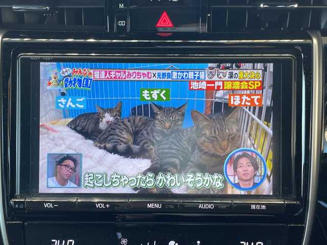 トヨタ ハリアー プレミアム 三重県 2016(平28)年 12.4万km ホワイトパールクリスタルシャイン 登録時123216km/フルモデリスタ/三眼ヘッドライト/ハーフレザーシート/禁煙車/ワンオーナー/純正ナビ/（AM/FM/TV/Bluetooth）/フルセグTV/バックカメラ/ビルトインETC/クルーズコントロール/ステアリングスイッチ/オートライト/パワーシート/パワーバックドア/レーンディパーチャーアラート/ISOFIX/スペアキー/プッシュスタート/純正フロアマット