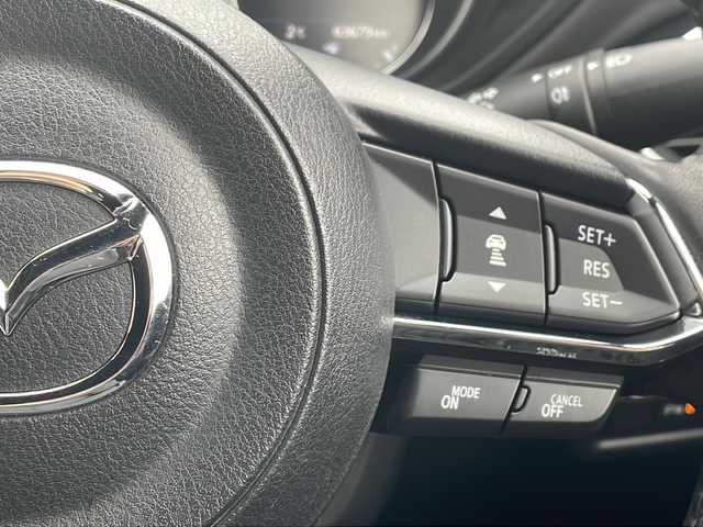 マツダ ＣＸ－８ 25T プロアクティブ 道北・旭川 2018(平30)年 6.4万km マシーングレープレミアムM /4WD//禁煙車//BOSEサウンド//純正SDナビ//CD/DVD/AUX/USB/BT/フルセグ//360°ビューカメラ//衝突軽減ブレーキ//レーンキープアシスト//レーダークルーズコントロール//アイドリングストップ//コーナーセンサー//ヘッドアップディスプレイ//ブラインドスポットモニタリング//運転席メモリ付きパワーシート//シートヒーター//ステアリングヒーター//オートハイビーム//オートライト//LEDヘッドライト//リアフォグ//ヘッドライトウォッシャー//ETC//ドライブレコーダー//パワーバックドア//オートリトラミラー//オートワイパー//フロントデアイサー//サンシェード//純正フロアマット