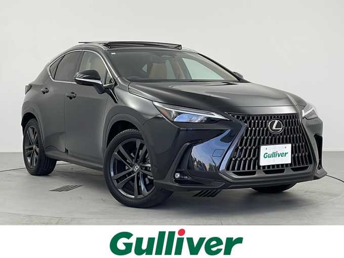 新着情報“ＮＸNX250 バージョンL”2023年式グラファイトブラックガラスフレーク入荷しました！