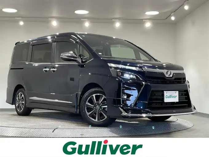 ガーキー　420g×2 バラ売り不可 新着情報“ヴォクシーZS 煌Ⅱ”2019年式ブラッキッシュアゲハ