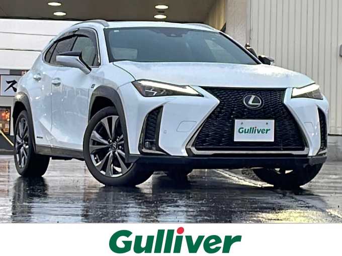 新着情報“ＵＸUX250h Fスポーツ”2019年式ホワイトノーヴァガラスフレーク入荷しました！