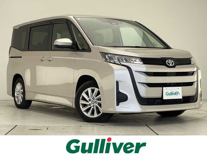 新着情報“ノアG”2024年式スティールブロンドM入荷しました！