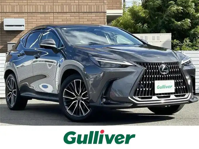 新着情報“ＮＸNX250 バージョンL”2023年式ソニッククロム入荷しました！