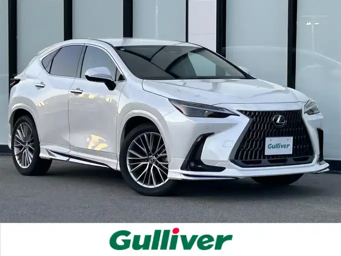 新着情報“ＮＸNX250 バージョンL”2024年式ソニッククォーツ入荷しました！