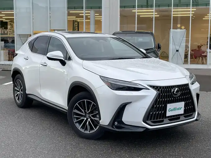 新着情報“ＮＸNX250 バージョンL”2023年式ソニッククォーツ入荷しました！