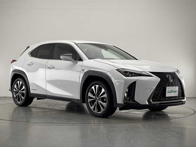 新着情報“ＵＸUX250h Fスポーツ”2019年式ホワイトノーヴァガラスフレーク入荷しました！